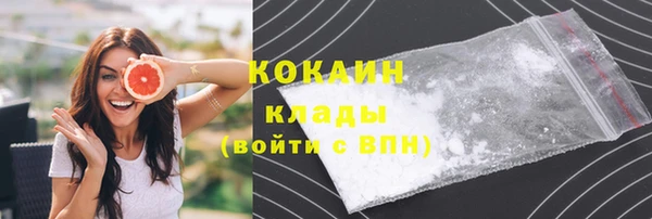 ПСИЛОЦИБИНОВЫЕ ГРИБЫ Горняк