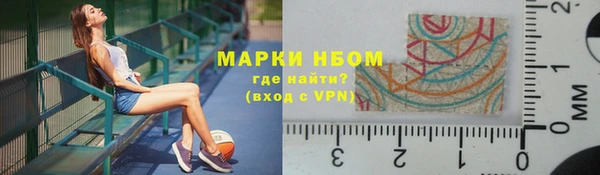 ПСИЛОЦИБИНОВЫЕ ГРИБЫ Горняк