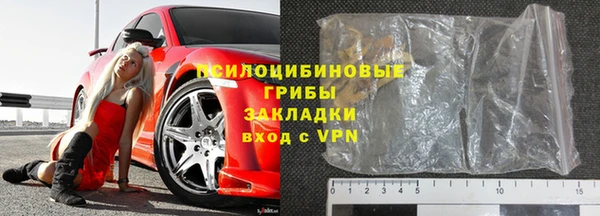 ПСИЛОЦИБИНОВЫЕ ГРИБЫ Горняк