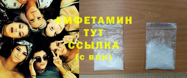 ПСИЛОЦИБИНОВЫЕ ГРИБЫ Горняк
