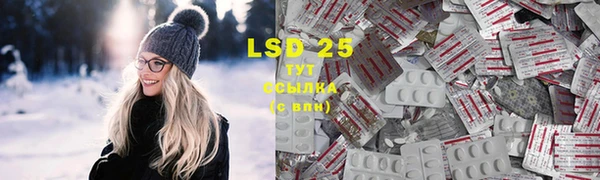 ПСИЛОЦИБИНОВЫЕ ГРИБЫ Горняк