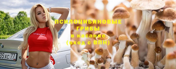ПСИЛОЦИБИНОВЫЕ ГРИБЫ Горняк