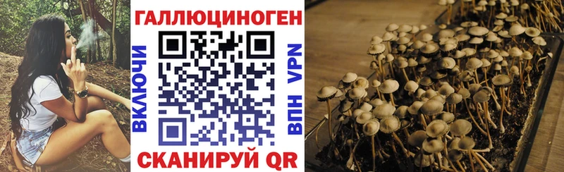 Галлюциногенные грибы GOLDEN TEACHER OMG сайт Жуковка